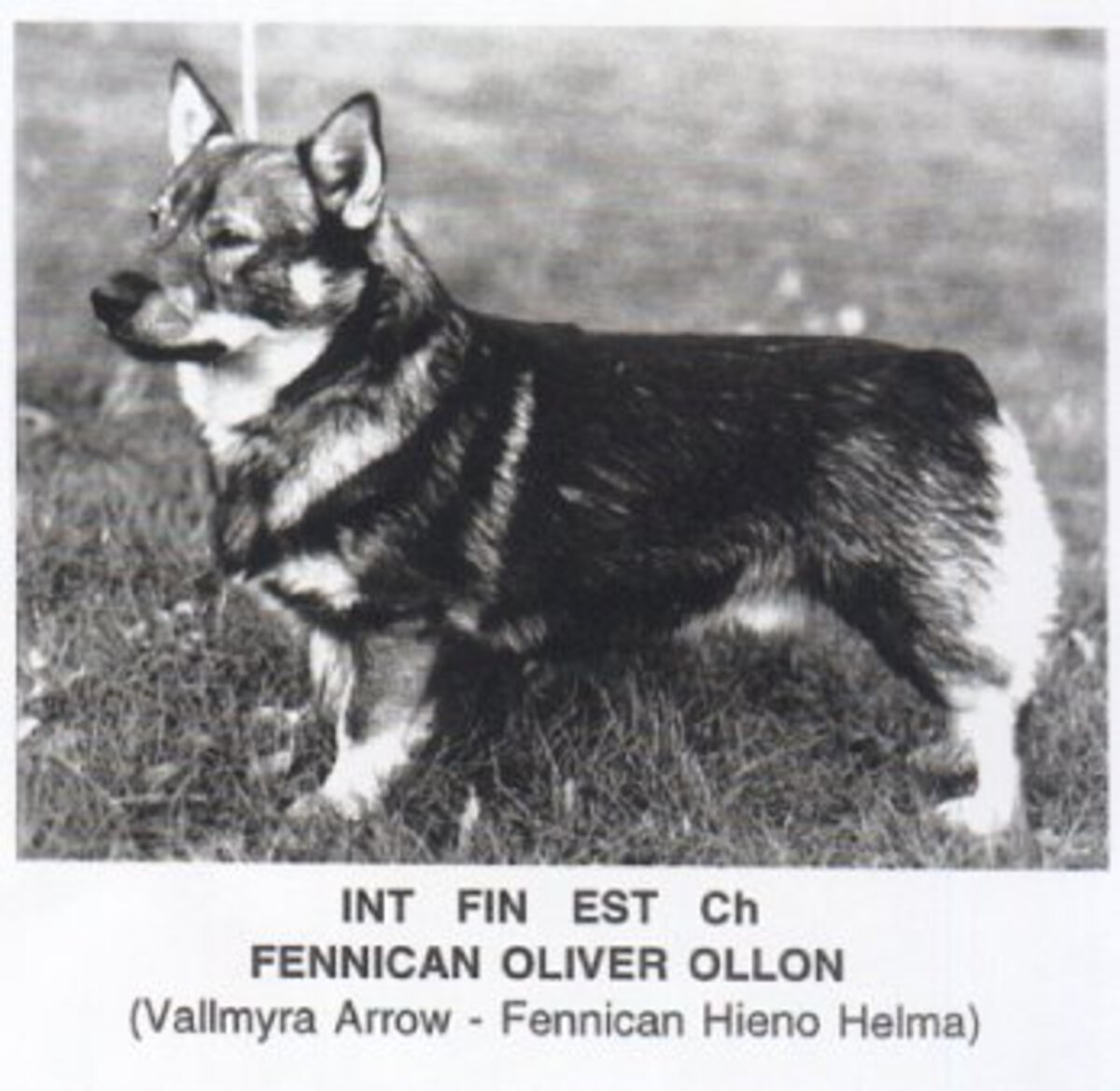 Image of Fennican Oliver Ollon
