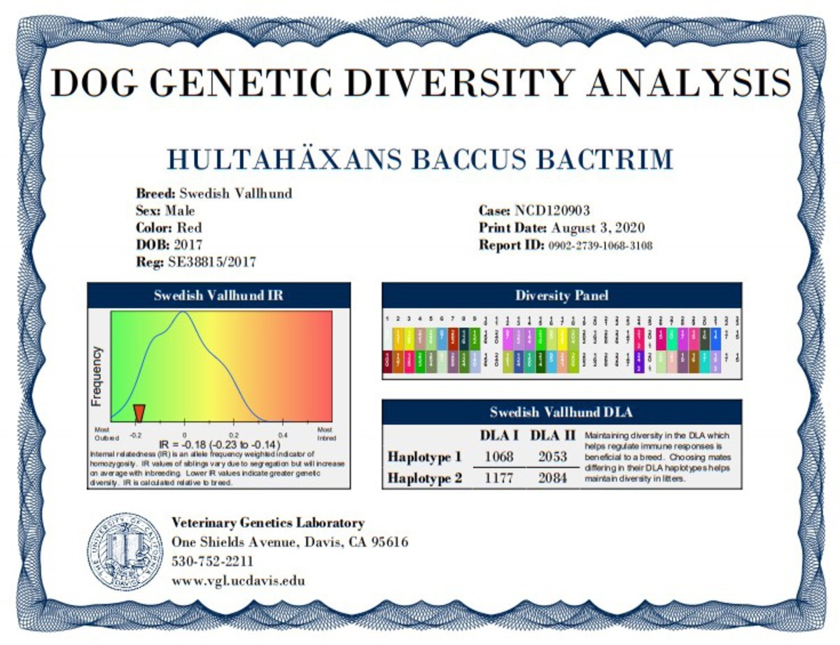 Image of Hultahäxans Baccus Bactrim
