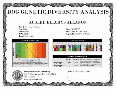 Image of Ausled Ellcrys Allanon