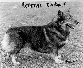 Image of Repeta's Ingolf
