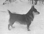 Thumbnail of Topsy  S12168/52