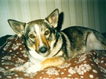 Thumbnail of Bessan-Moss